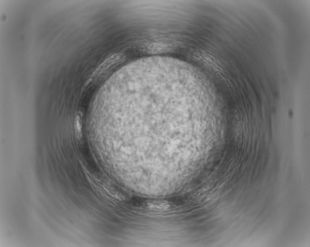 X0000057560214200510141357