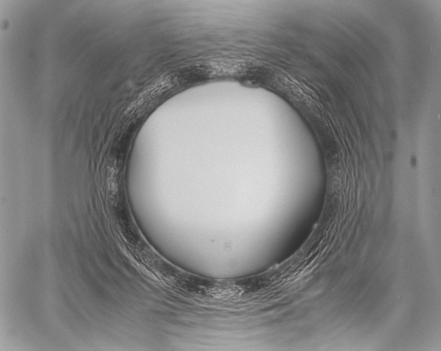 X0000057560215200510141357