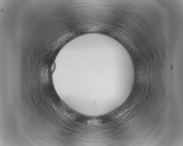 X0000057560216200510141357