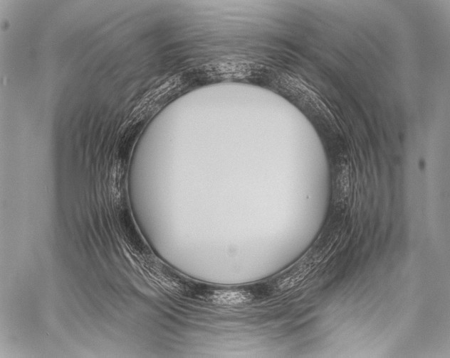 X0000057560218200510141357