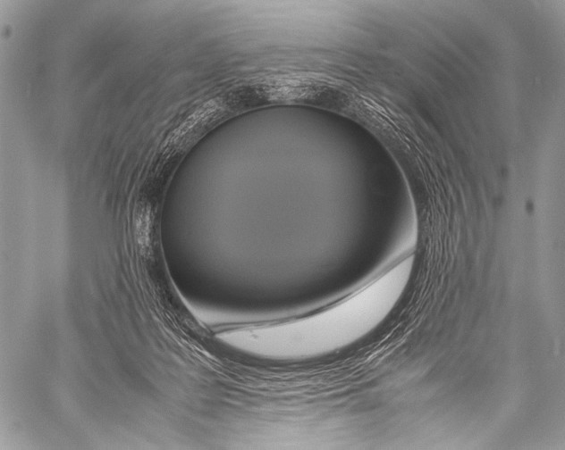 X0000057560219200510141357