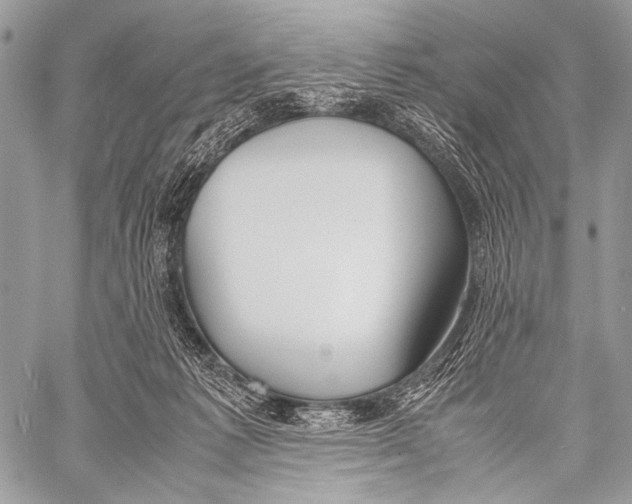 X0000057560221200510141357