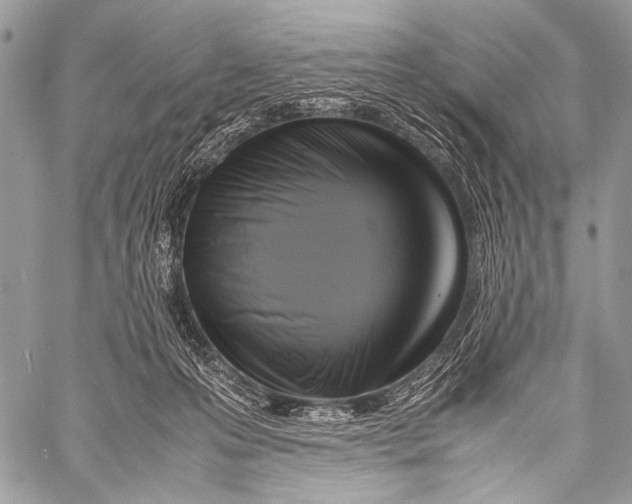 X0000057560223200510141356