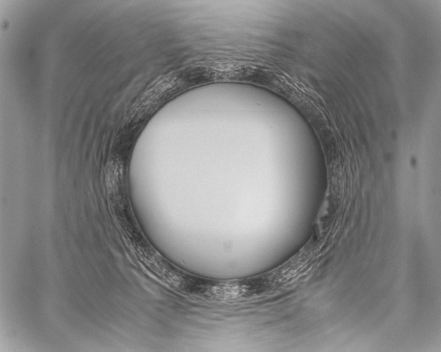X0000057560225200510141356