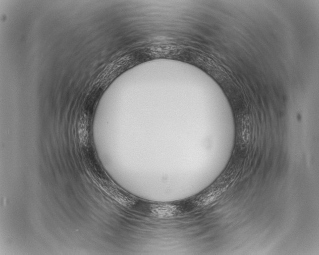 X0000057560226200510141356