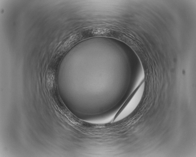 X0000057560227200510141356