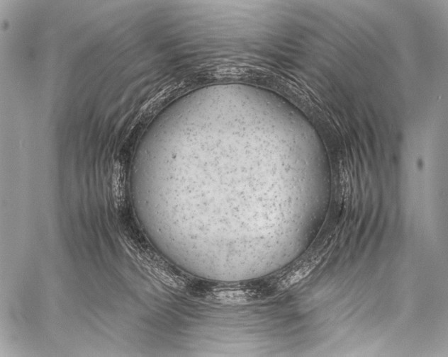 X0000057560228200510141356