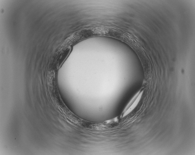 X0000057560229200510141356