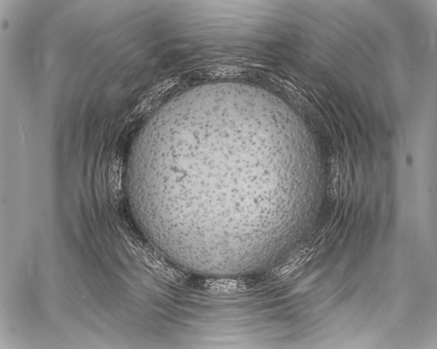 X0000057560230200510141356