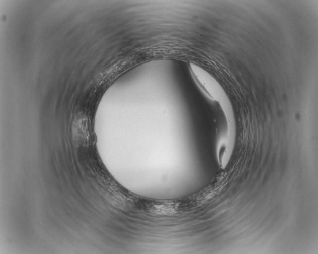 X0000057560232200510141356