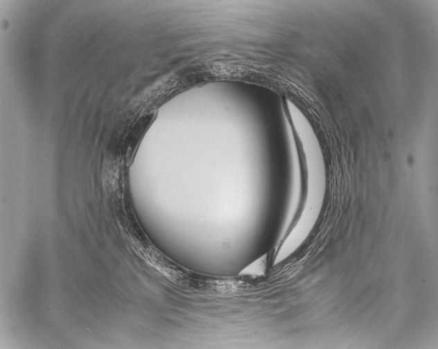 X0000057560233200510141356