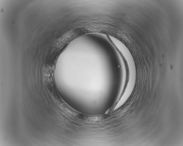 X0000057560237200510141356