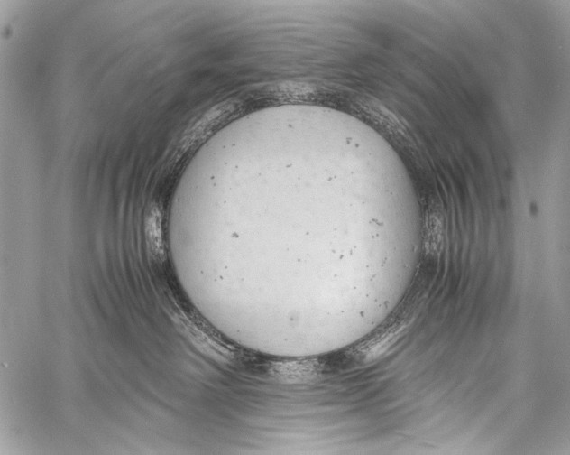 X0000057560238200510141356