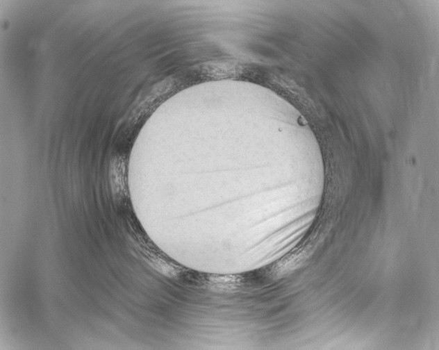 X0000057560240200510141356