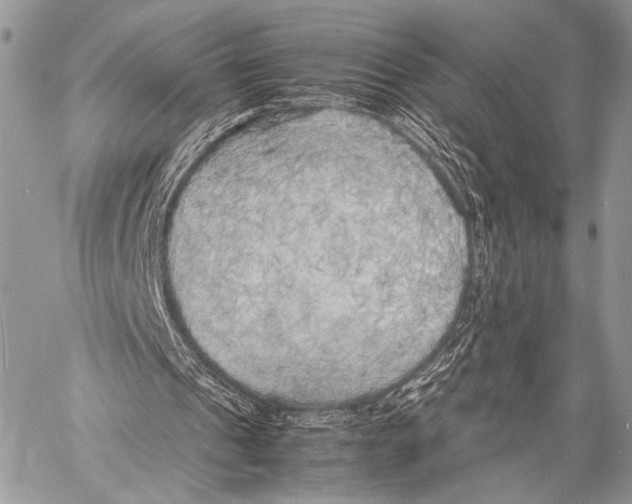X0000057560241200510141355