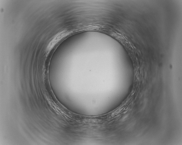 X0000057560242200510141355