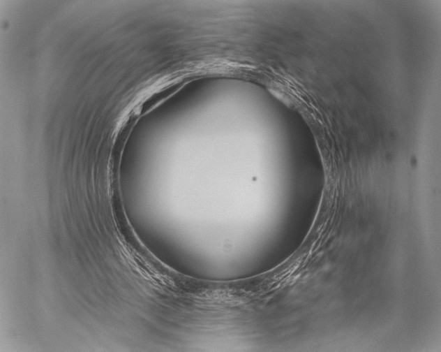 X0000057560244200510141355