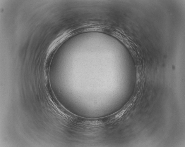 X0000057560245200510141355