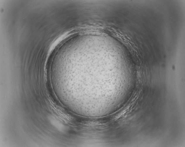 X0000057560246200510141355