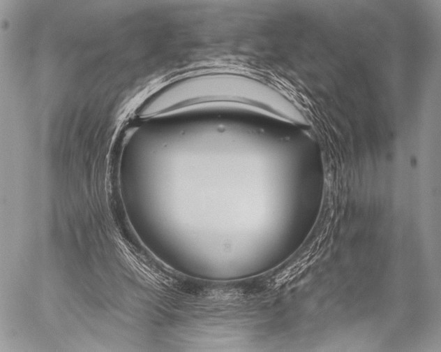 X0000057560248200510141356