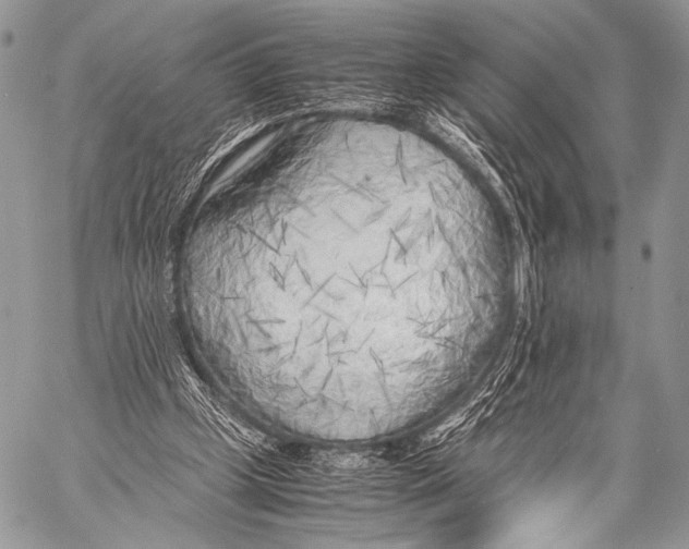 X0000057560249200510141356