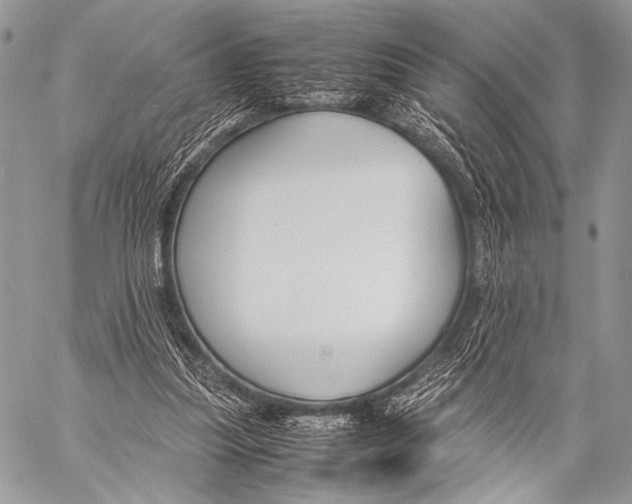 X0000057560251200510141356