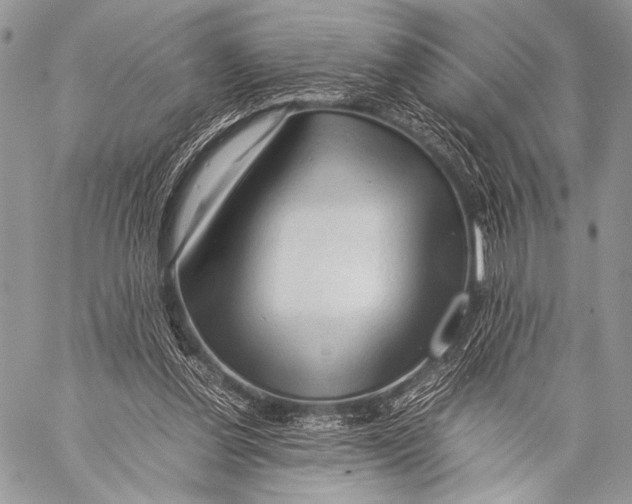 X0000057560252200510141356