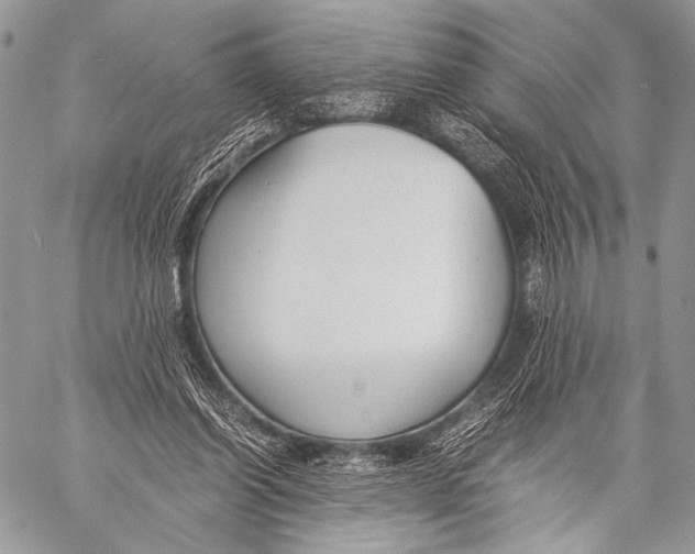 X0000057560254200510141356
