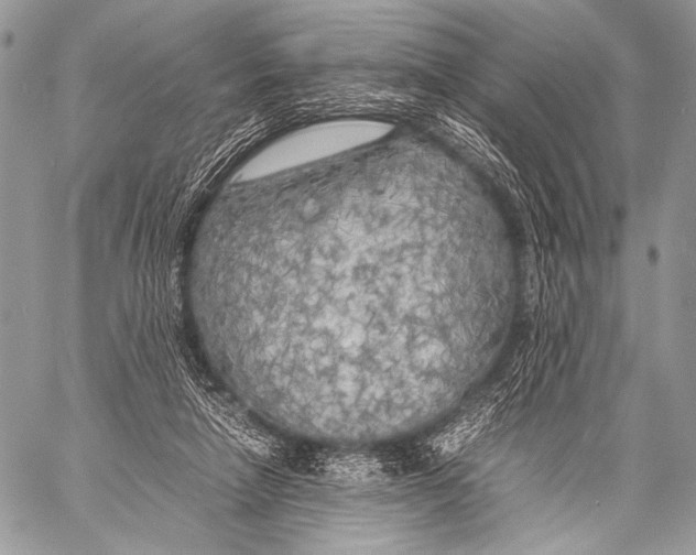 X0000057560258200510141356