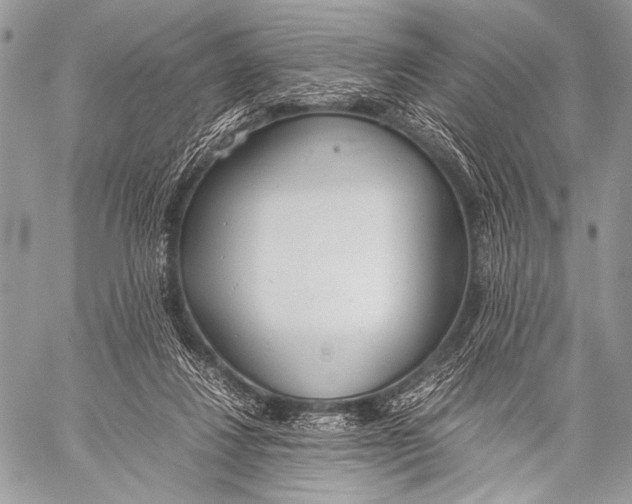 X0000057560260200510141356