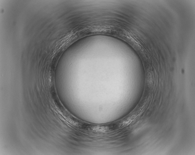 X0000057560261200510141356
