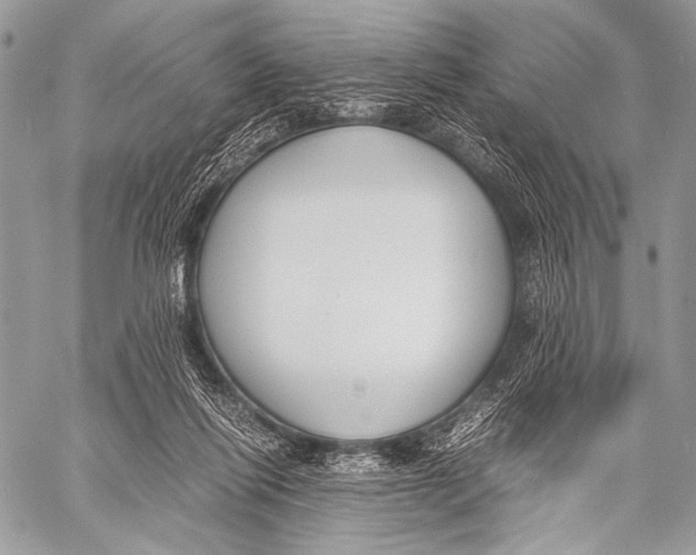 X0000057560262200510141356