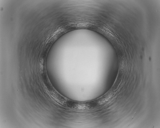X0000057560264200510141356