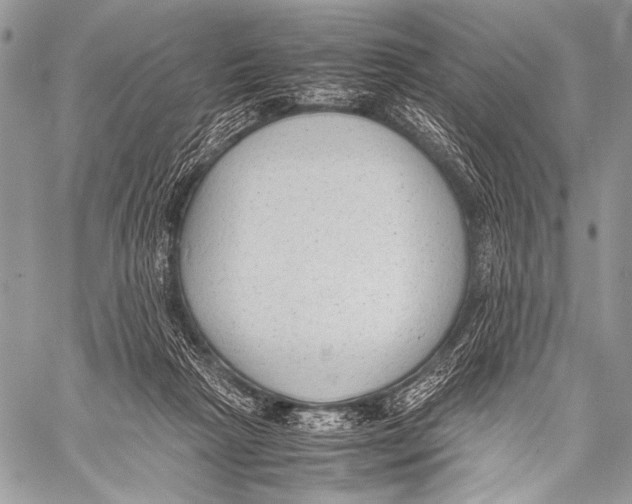 X0000057560265200510141356