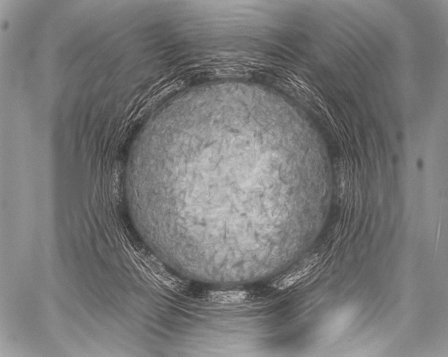 X0000057560266200510141356