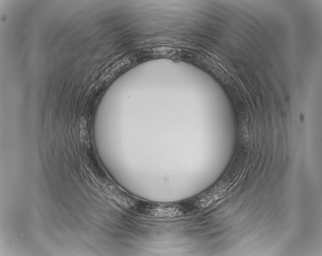 X0000057560270200510141356