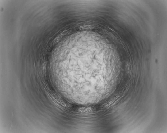 X0000057560271200510141356