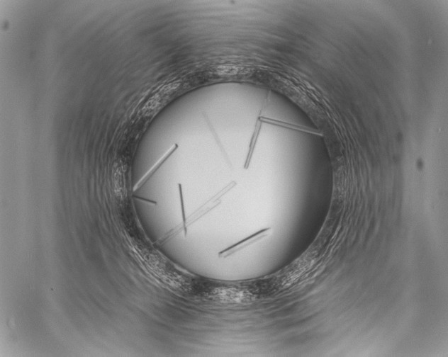 X0000057560272200510141356
