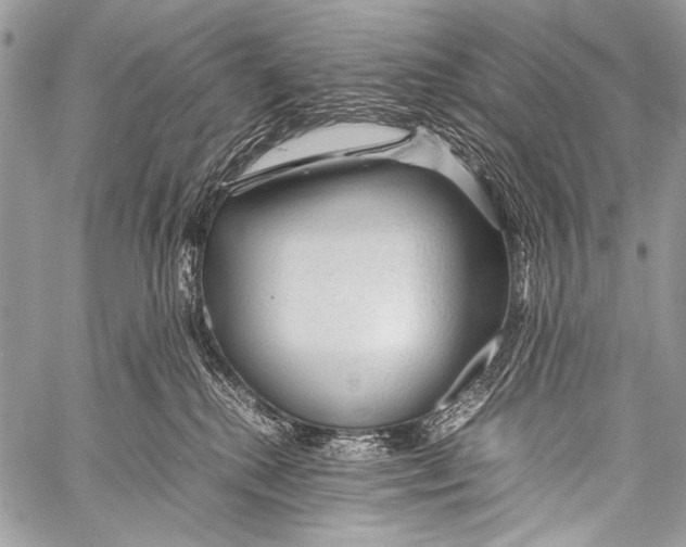 X0000057560280200510141356