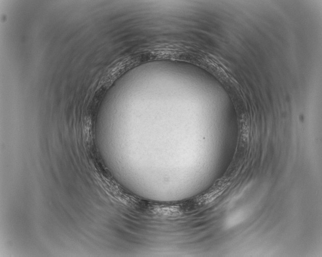 X0000057560283200510141356