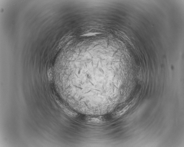 X0000057560285200510141356