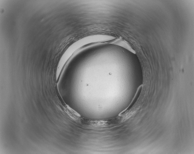 X0000057560288200510141356