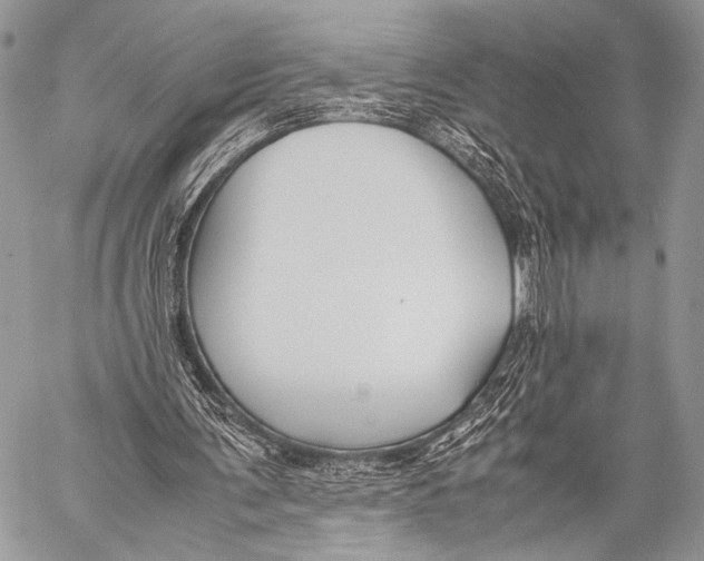X0000057560291200510141355