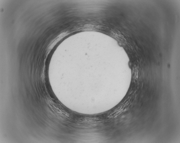 X0000057560292200510141355