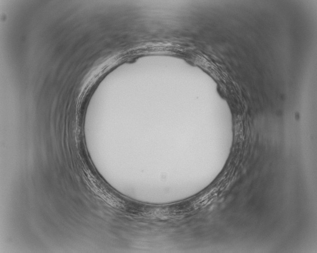 X0000057560293200510141355