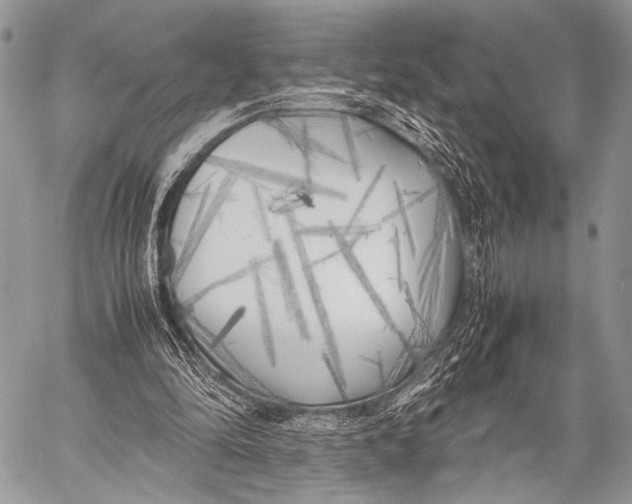 X0000057560294200510141355