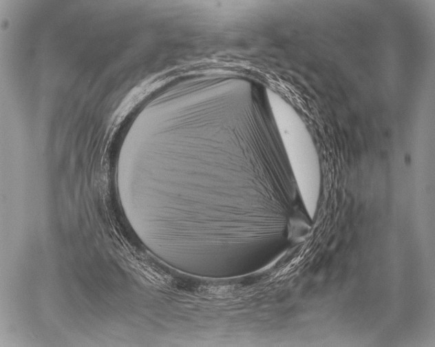 X0000057560295200510141355