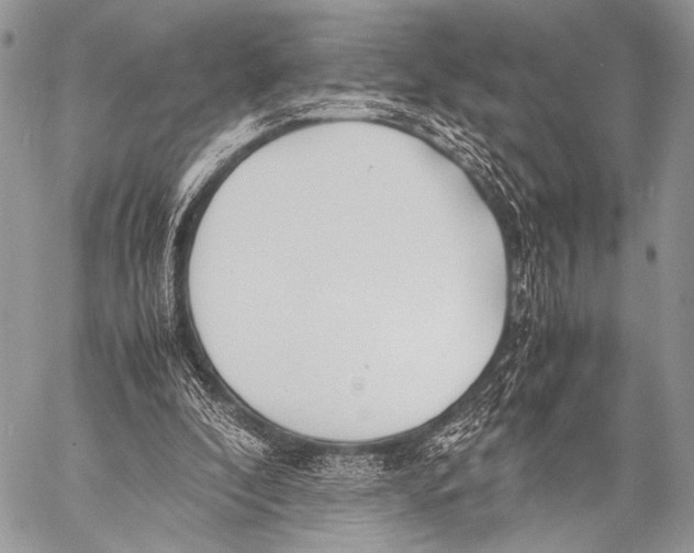 X0000057560296200510141355