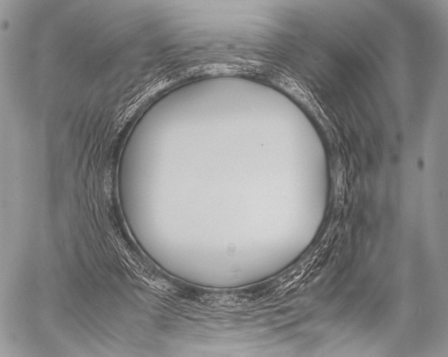 X0000057560297200510141355