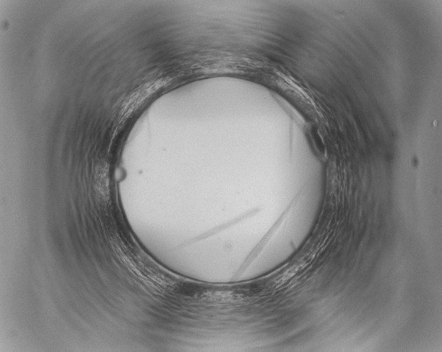 X0000057560298200510141355
